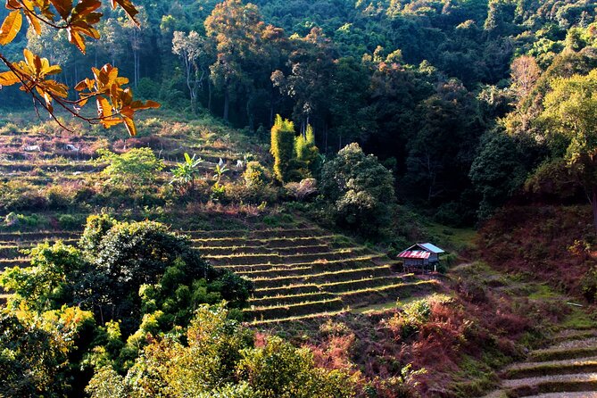 Doi Inthanon National Park, Waterfall & Royal Project Day Tour From Chiang Mai - What the ride and schedule are really like