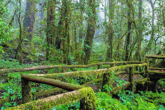 Doi Inthanon Waterfall and Royal Project Chiang Mai - A Karen village and the Royal Project connection