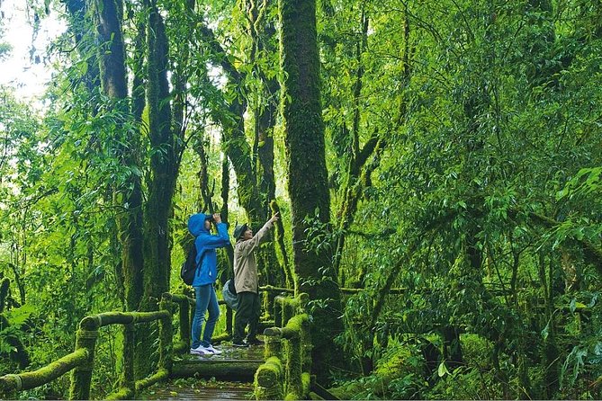 Doi Inthanon Waterfall and Royal Project Chiang Mai - Ang Ka Nature Trail near Thailand’s highest point