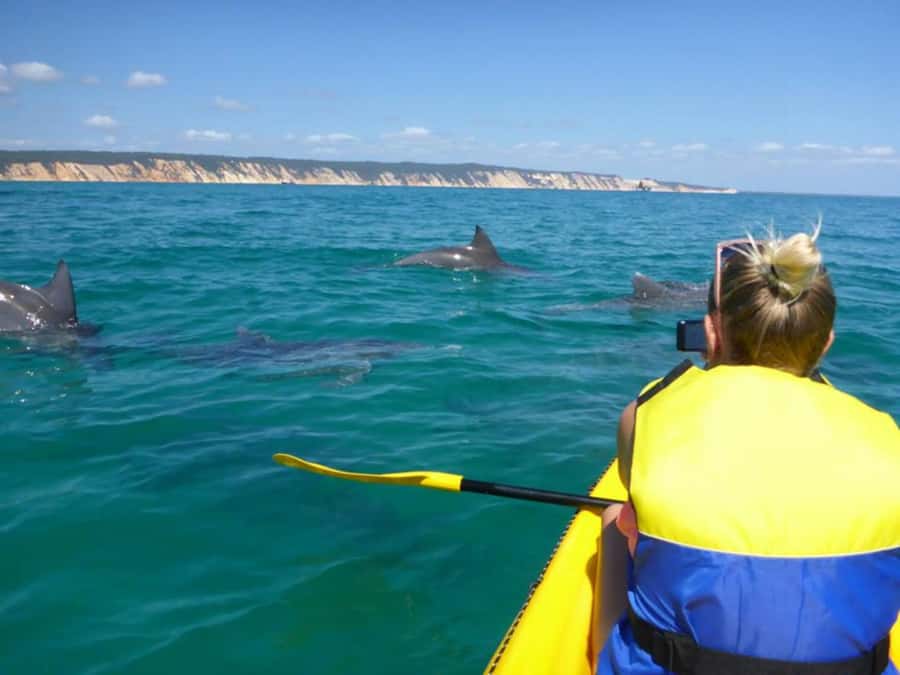 Dolphin Kayak Tour & Beach 4X4 National Park Tour (Private) - Why the 4X4 drive adds real value