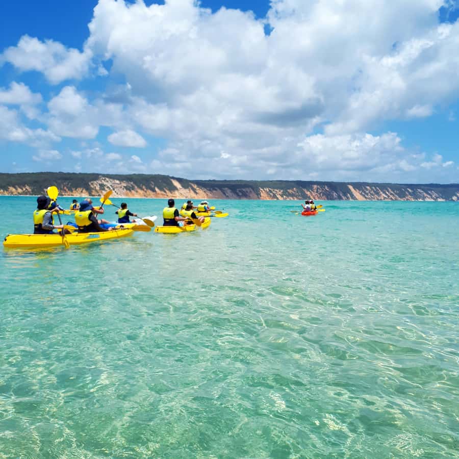 Dolphin Kayak Tour & Beach 4X4 National Park Tour (Private) - What to pack for a wet, sunny day