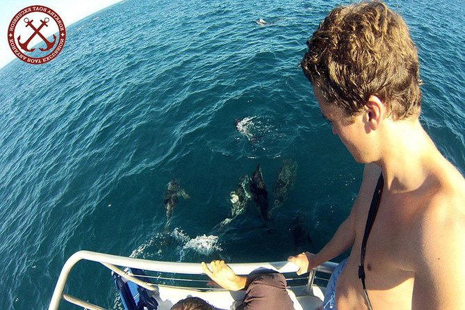 Dolphins Watching in the National Park Brijuni from Pula - Leaving Pula at 5:30 pm