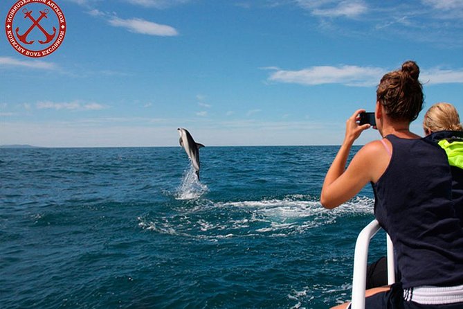 Dolphins Watching in the National Park Brijuni from Pula - Dinner at Sea: Simple, Filling, and Variable