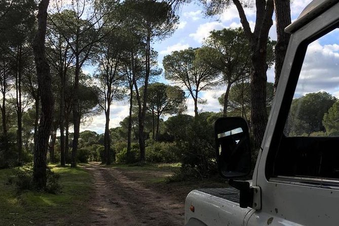 Donana National Park and El Rocío: Guided Tour from Seville - El Rocío, where the streets turn to sand
