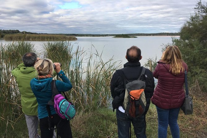 Donana National Park and El Rocío: Guided Tour from Seville - Palacio del Acebrón and the La Rocina trail