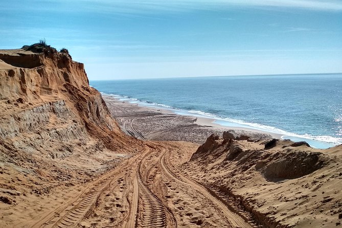 Donana National Park and El Rocío: Guided Tour from Seville - Matalascañas and Spain’s great dune system