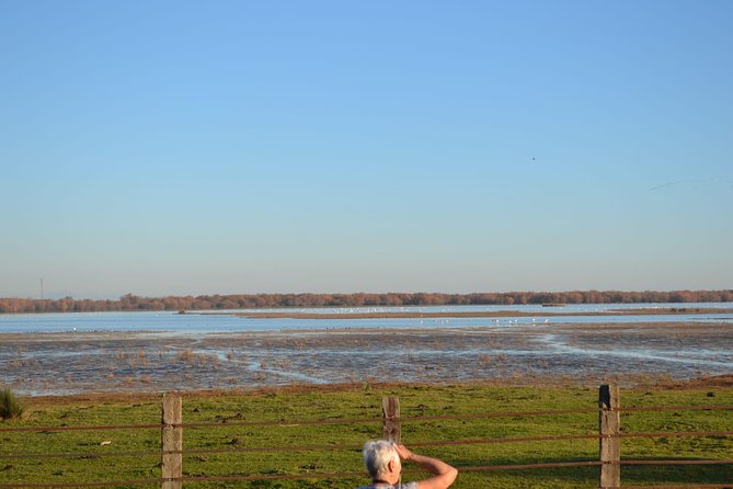 Donana National Park and El Rocío: Guided Tour from Seville - The afternoon 4x4 search for mammals