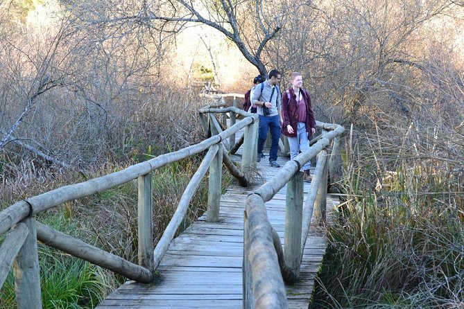 Donana National Park: Guided Day Tour from Seville - Three hours inside or beside Doñana