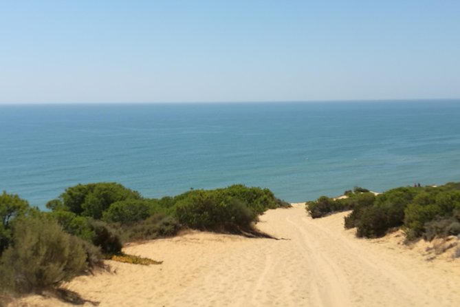 Donana National Park: Guided Day Tour from Seville - What the $95.34 price really covers