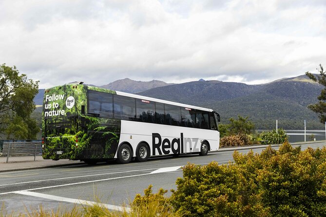 Doubtful Sound Wilderness Cruise from Te Anau - The boat, group size, and onboard comfort