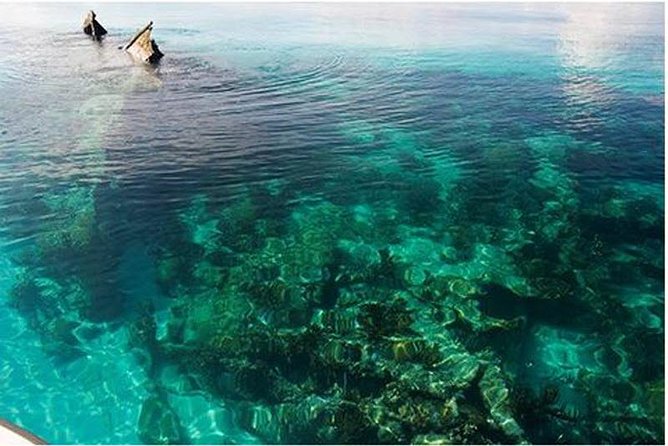 Dry Tortugas National Park Day Trip by Catamaran from Key West - Key points to know before you go