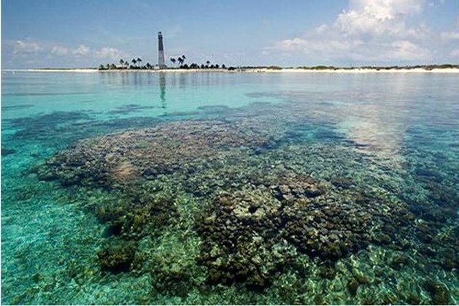 Dry Tortugas National Park Day Trip by Catamaran from Key West - Fort Jefferson and the 45-minute history lesson