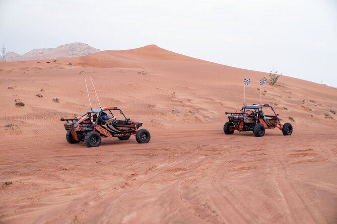 Dune Buggy Experience & Fossil Discovery in Mleiha National Park - Fossils at Fossil Rock