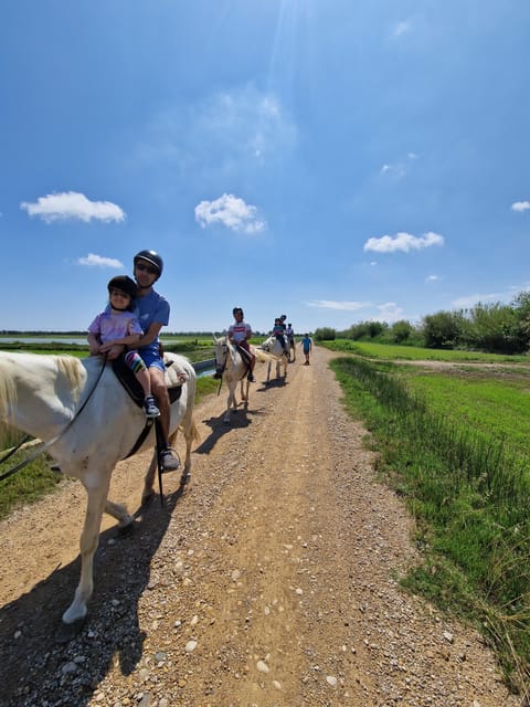 Ebro Delta National Park: Guided Horseback Riding Tour - Riding Through the Ebro Delta Rice Fields