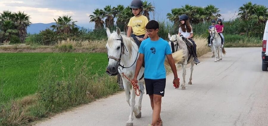 Ebro Delta National Park: Guided Horseback Riding Tour - Is $43 a Fair Price?