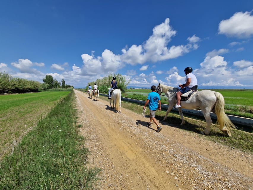 Ebro Delta National Park: Guided Horseback Riding Tour - Practical Details That Matter