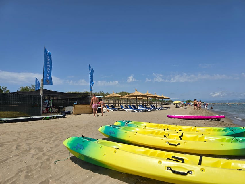 Ebro Delta National Park: Scenic Drive and Kayaking Tour - Birdwatching at Llacuna del Garxal