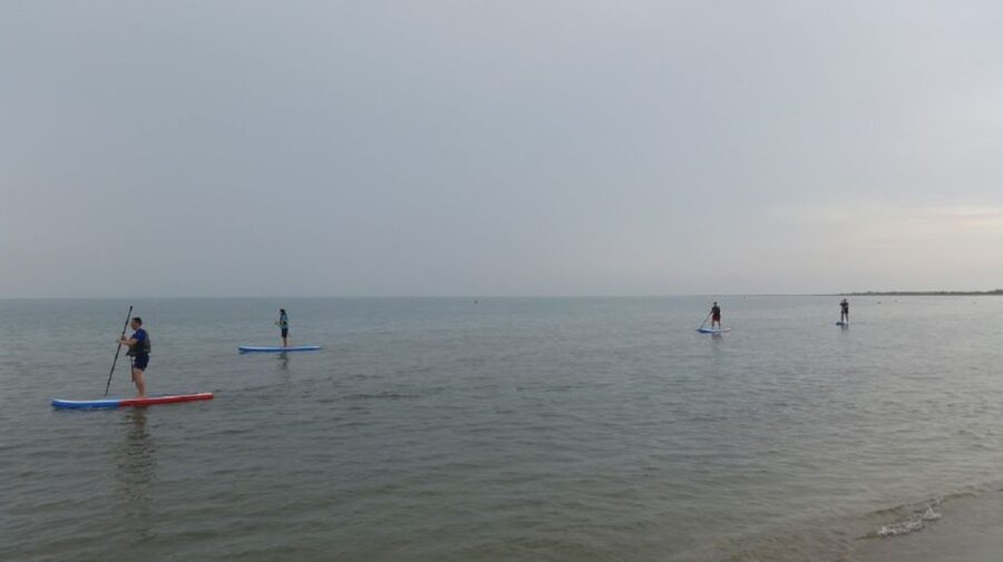 Ebro Delta National Park: Scenic Drive and Kayaking Tour - Is $57 a fair price?