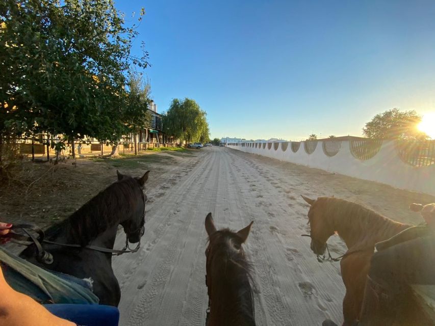 El Rocío: Doñana National Park Horseback Riding Tour - Practical Booking Advice