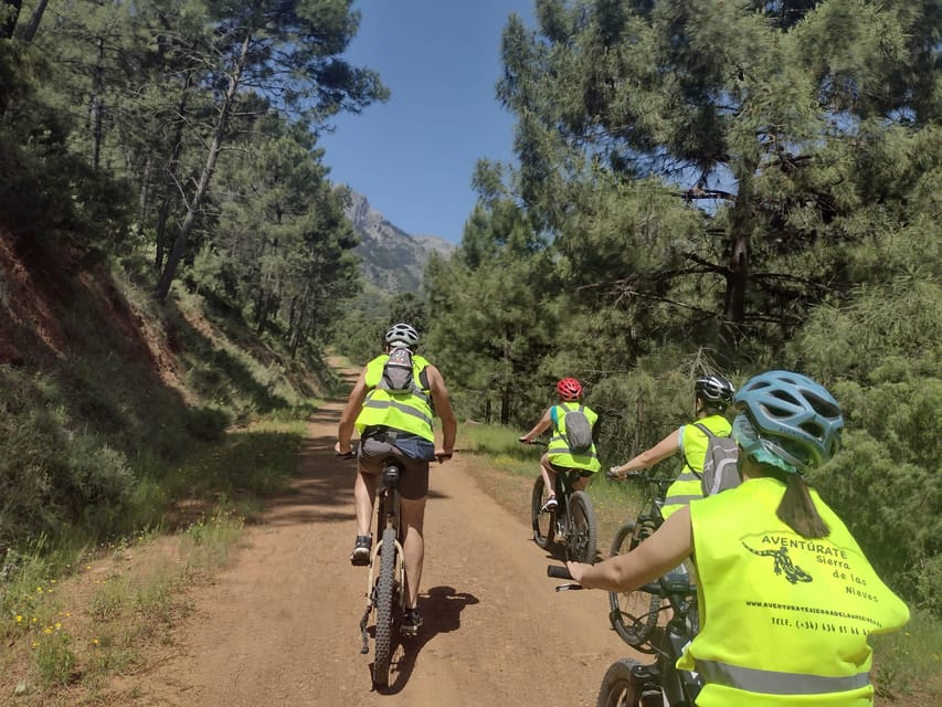 Electric mountain bike in Sierra de las Nieves national park - Should you book the Sierra de las Nieves e-bike tour?