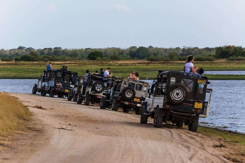 Elephant Jeep Safari at Minneriya National Park - What the Minneriya jeep ride feels like