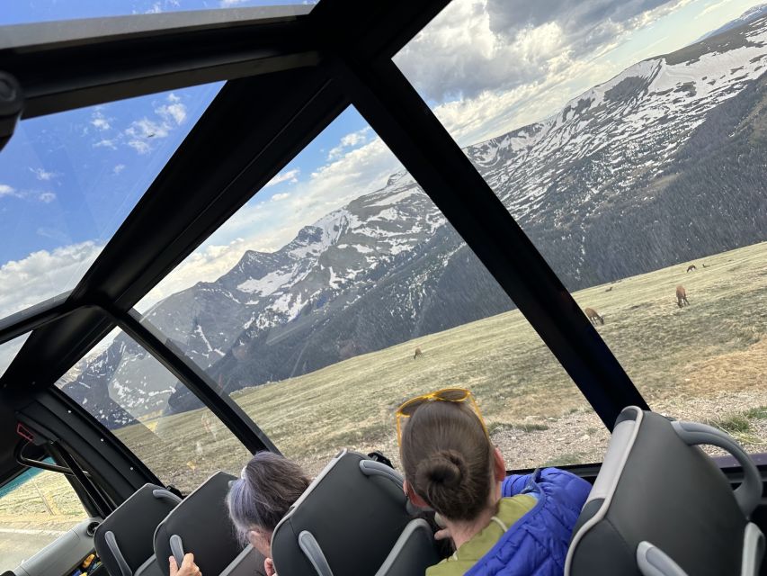 Estes Park: Rocky Mountain National Park Glass-Top Bus Tour - Above the trees on Trail Ridge Road
