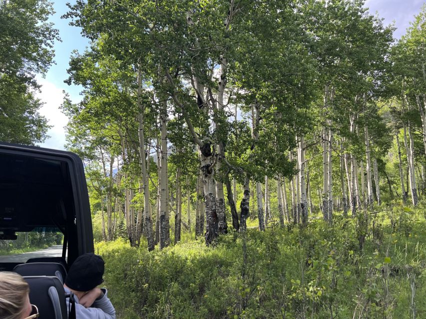 Estes Park: Rocky Mountain National Park Glass-Top Bus Tour - Snacks, music, and a comfortable ride