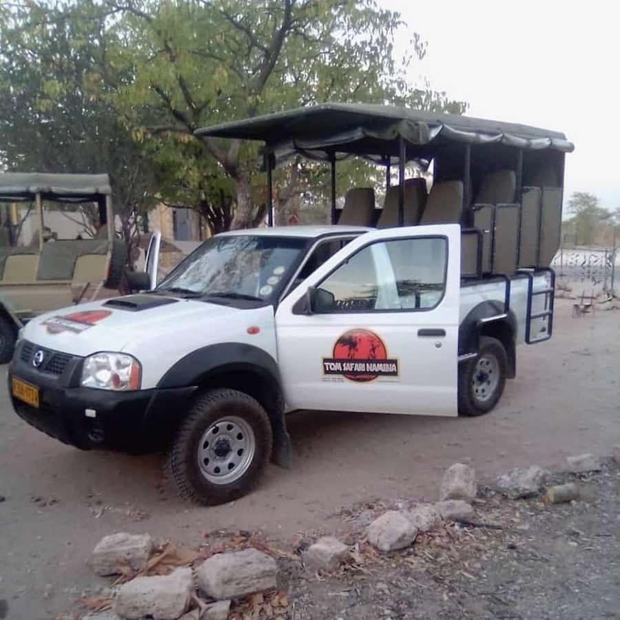 Etosha National Park: Full or Half-Day Game Drive - Starting from Okaukuejo, Ombika, or an entrance gate