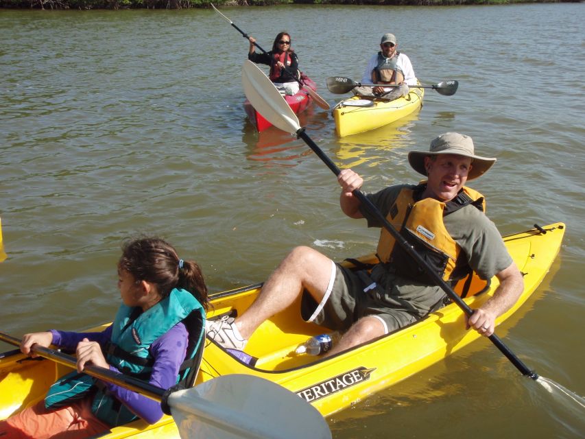 Everglades National Park 3-Hour Kayak Eco Tour - Why the 10,000 Islands are worth seeing by kayak