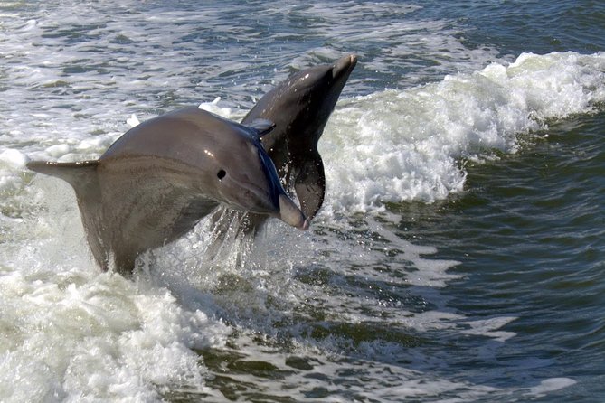Everglades National Park Biologist Led Adventure: Cruise, Hike + Airboat - The early pickup from Miami and Fort Lauderdale
