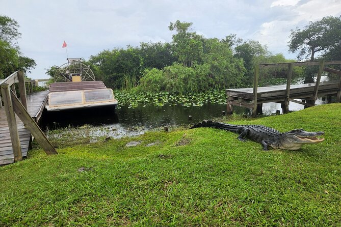 Everglades National Park Biologist Led Adventure: Cruise, Hike + Airboat - The Ten Thousand Islands boat cruise