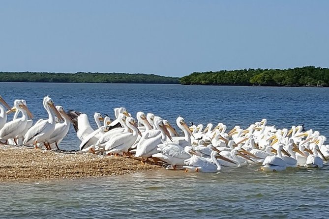 Everglades National Park Biologist Led Adventure: Cruise, Hike + Airboat - Weather, clothing, and comfort