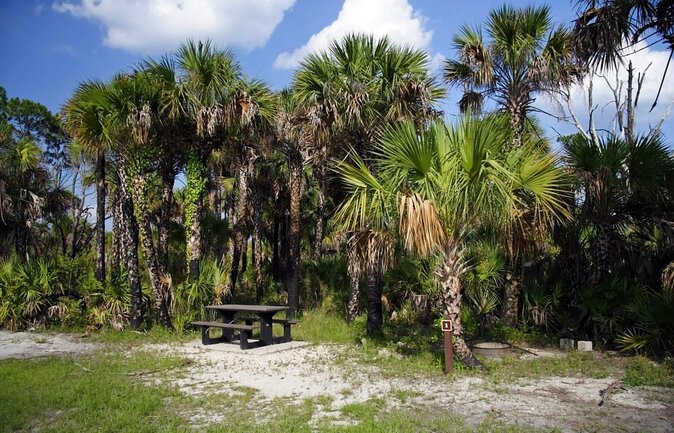 Everglades National Park Biologist Led Adventure: Cruise, Hike + Airboat - The River of Grass airboat ride