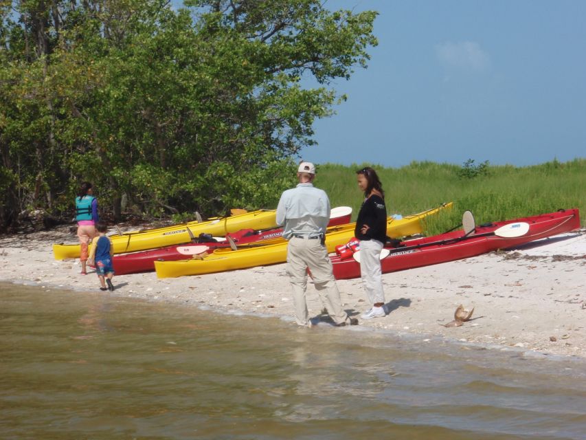 Everglades National Park: Boat Assisted Kayak Eco Tour - Kayaking through the wetlands