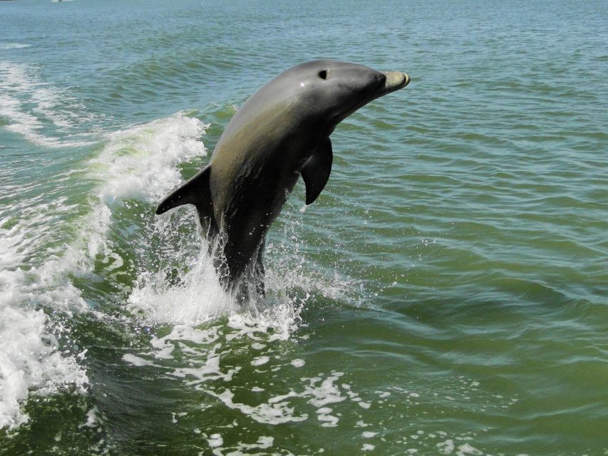 Everglades National Park: Boat Assisted Kayak Eco Tour - Who should book this Everglades tour?