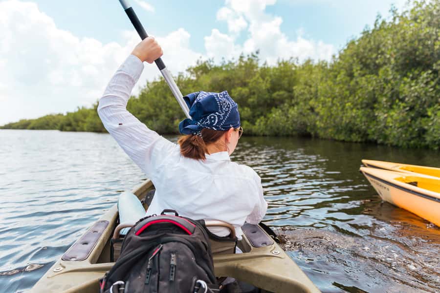 Everglades National Park: Mangrove Tunnel Kayak Eco-Tour - Paddling beneath the mangrove canopy