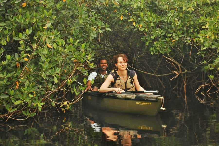 Everglades National Park: Mangrove Tunnel Kayak Eco-Tour - Meeting the guide at 32016 Tamiami Trail E