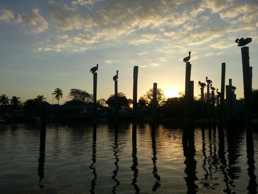 Everglades National Park: Motorboat Eco Tour - Key points to know before you book