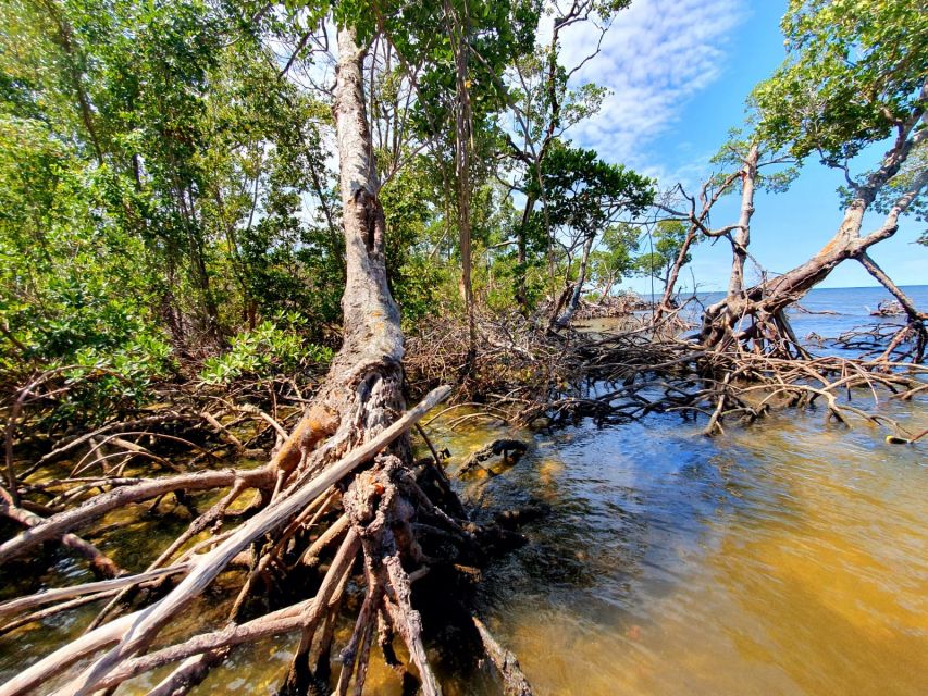 Everglades National Park: Motorboat Eco Tour - Should you book the Native Tours and Fishing Charters trip?