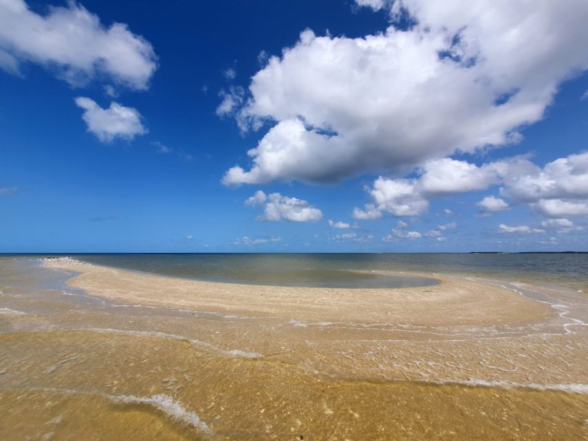 Everglades National Park: Motorboat Eco Tour - Why the 10,000 Islands make this tour special