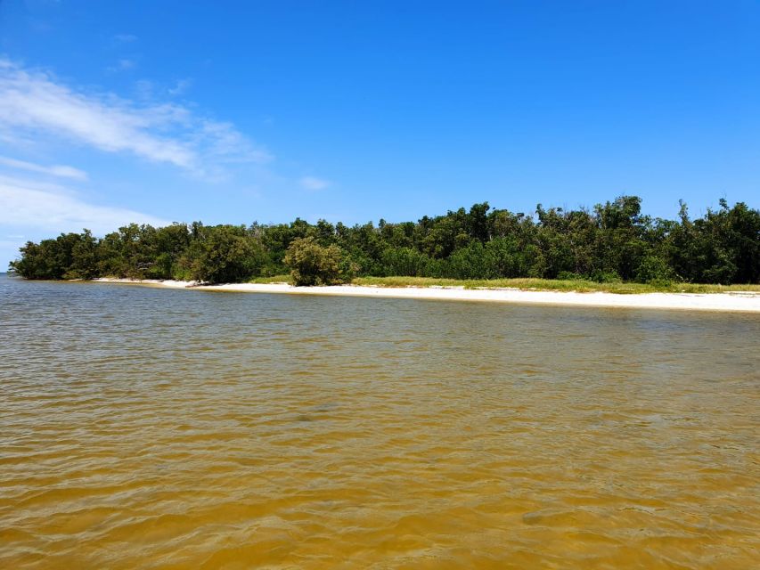 Everglades National Park: Motorboat Eco Tour - Who will enjoy this Everglades boat tour most?