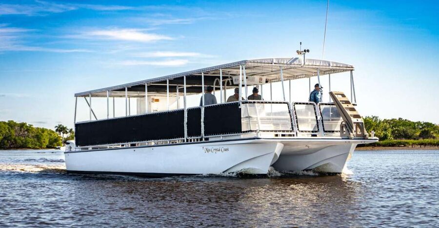 Everglades National Park: Pontoon Boat Tour & Boardwalk - Wildlife watching among the mangroves