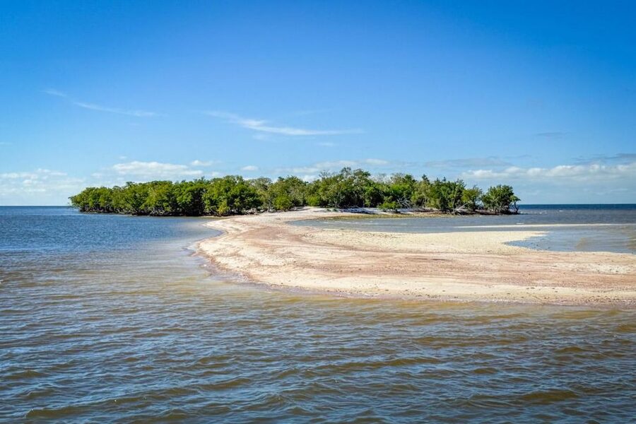 Everglades National Park: Pontoon Boat Tour & Boardwalk - Walking the Everglades City boardwalk