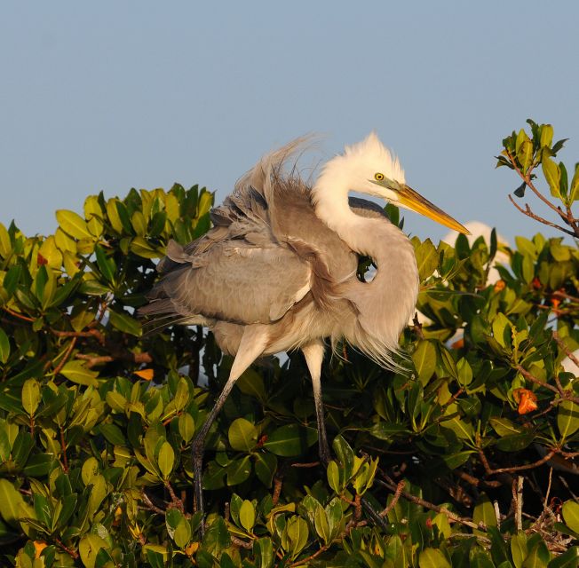 Everglades National Park: Private 2.5-Hour Photo Safari - The Start: Arrive Ready for a Short, Focused Trip