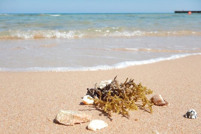 Excursion to the White Island & Ras Mohammed National Park from Sharm El Sheikh - Lunch, drinks, and life on board