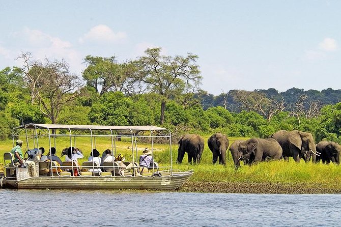 Explore Chobe National Park With a Day Trip from Victoria Falls - Why Chobe Works as a Day Trip from Victoria Falls
