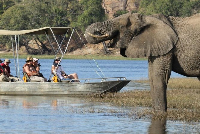Explore Chobe National Park With a Day Trip from Victoria Falls - The Chobe River Cruise Gives You the Best Start