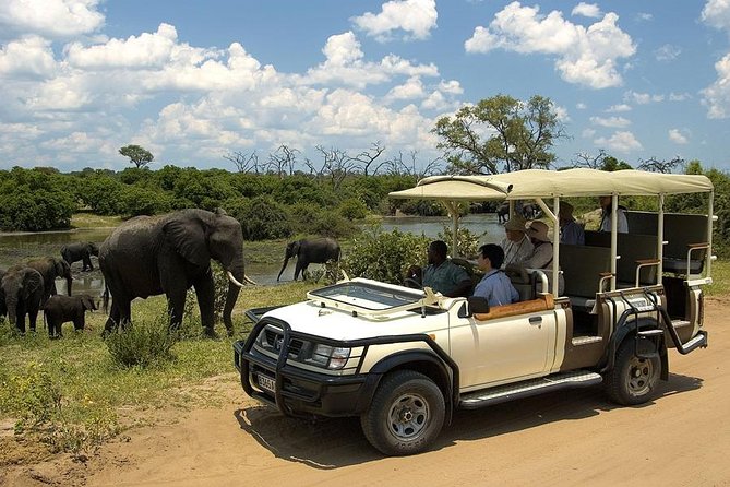Explore Chobe National Park With a Day Trip from Victoria Falls - A Group Size of 20 Keeps It Convenient, Not Private