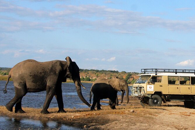 Explore Chobe National Park With a Day Trip from Victoria Falls - Border and Timing Tips for a Smoother Day