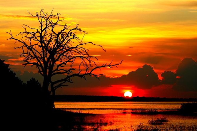 Explore Chobe National Park With a Day Trip from Victoria Falls - Lunch Breaks Up the Safari Schedule